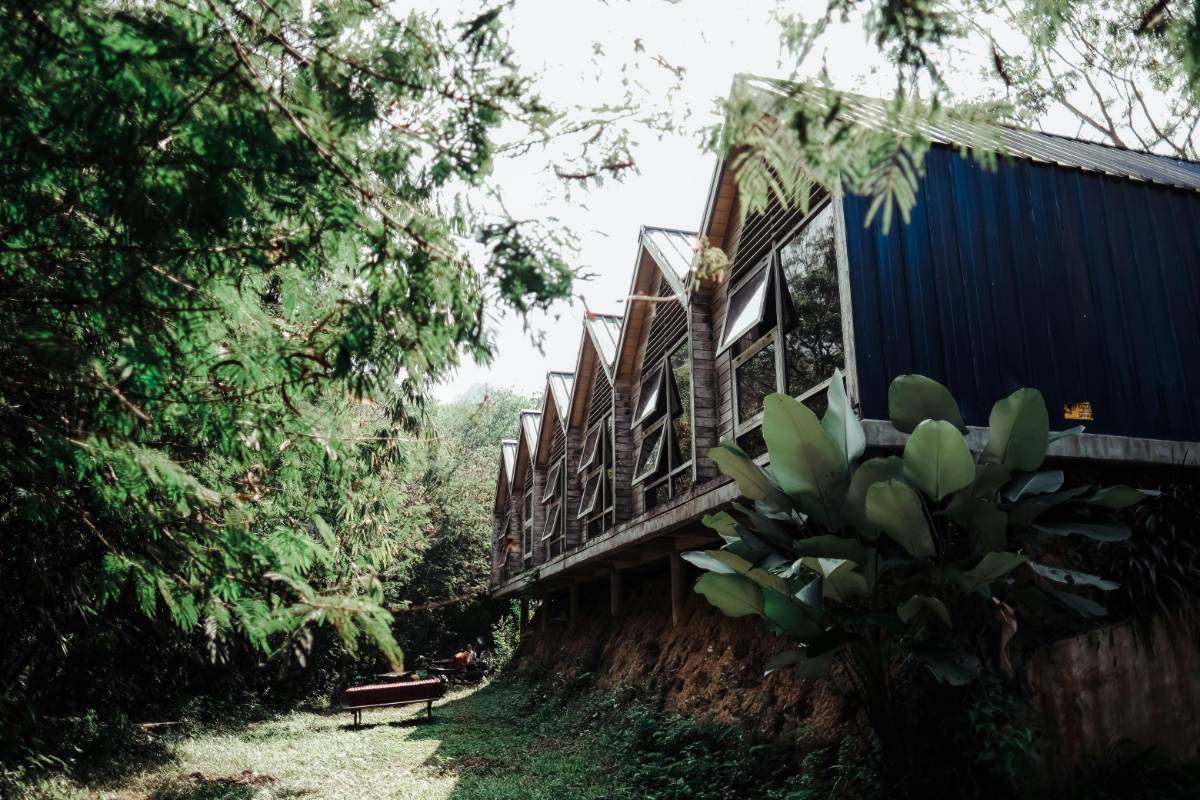 The Power of Green Building: Sustainable Design in Architecture