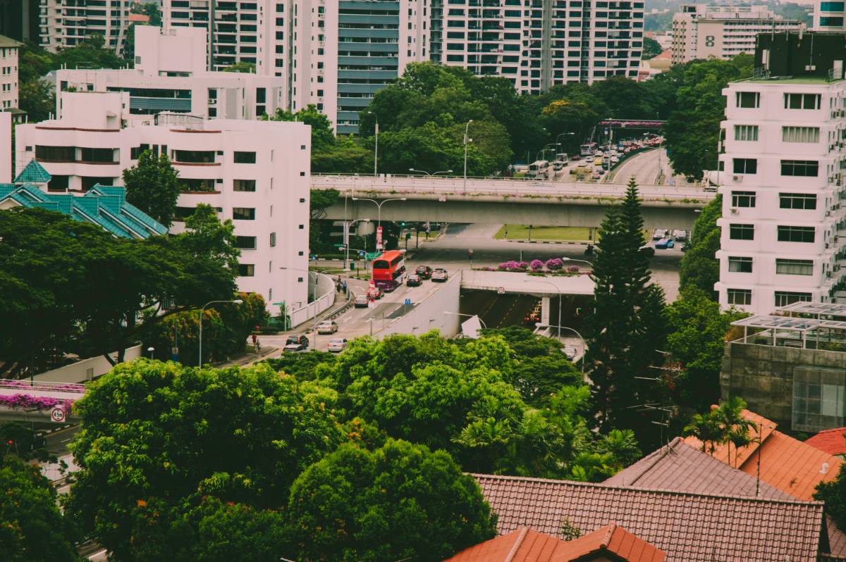 Green Roofs and Walls: A Sustainable Design Solution for Cities