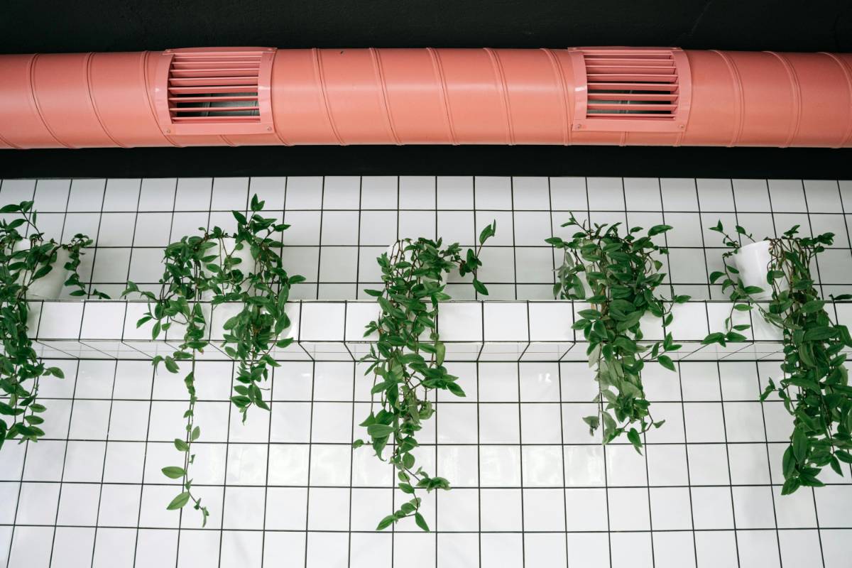 Sustainable Design and Its Impact on Indoor Air Quality