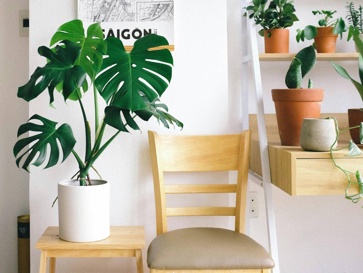 Inspiring Ideas for Budget Decor in Small Apartments